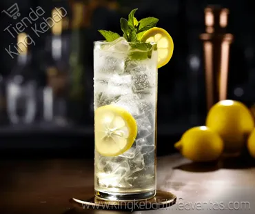 Gin Tonic +